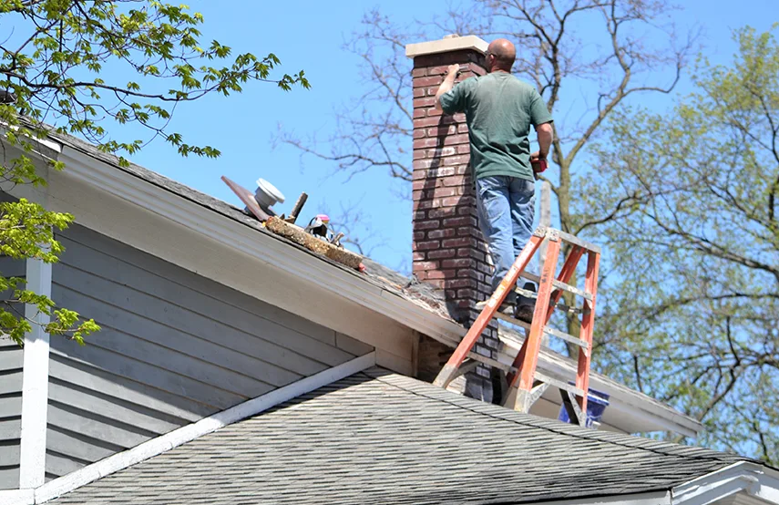 Chimney & Fireplace Inspections Services in Cary, IL